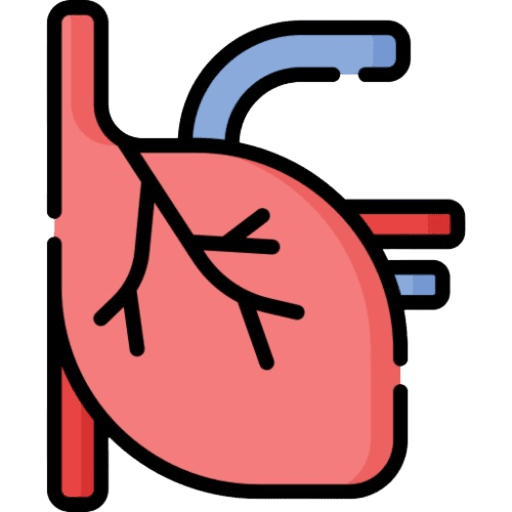 Circulatory System