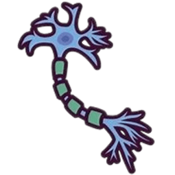 Nervous System