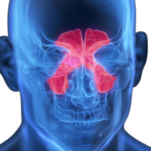 Nose